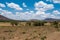 Savanna panorama south africa with much more words