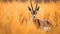 Savanna Spectacle. Springboks Amidst the Golden Grass of Africa. Generative AI