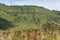 Savanna & Teletubbies Hill, Mount Bromo, Indonesia