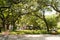 Savannah, Georgia / United States - June 25, 2018: Reynolds Square is one of may squares in the downtown district.