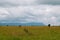 Savannah Grassland in Taita Hills Wildlife Sanctuary, Voi, Kenya