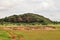 Savannah Grassland in Tsavo