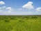 Savannah landscape in the Tarangire National Park, Manyara Region, Tanzania, East Africa