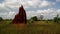 Savannah landscape with the termite mound, Ghana