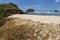 savannah monitor lizard roam at the tropical beach