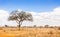 Savannah plains landscape in Kenya