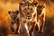 Savannah scene lioness and cubs traverse the wild, untamed terrain