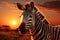 Savannah serenity Zebra against an African sunset backdrop, Africa day