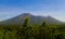 savannah tour, baluran forest, green trees, mountain background with a bright blue sky