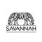 Savannah. Vector hand drawn illustration of zebra isolated