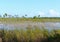 Savannas Preserve State Park Florida Marsh