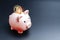 Save currency bitcoin. Pink pig bank with golden bit coin money BTC on dark background. Save money investment and