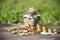 Save money with stack money coins put coin in glass jar and outside the glass jar on wooden  blurred green natural background mone