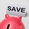 Save Piggy Bank Shows Product Discounts