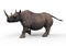 Save the rhinos!, 3D Illustration