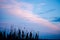 Save screens. Reed plantation silhouette. Sunset sky background