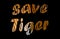 Save Tiger, Nature conservation slogan vector with Tiger stripes in backdrop