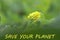 Save your planet banner with small yellow flower on beautiful background in shades of green