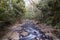 Savegre River, San Gerardo de Dota. Quetzales National Park, Costa Rica.