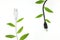 Saving electricity and green alternative energy concept. Electric plug cord with green leaves.