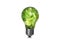 Saving energy, eco-friendly lifestyle. Fresh green leaves inside of light bulb on white background