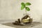 Saving. Glass jar with coins and a plant on the table and several coins nearby.