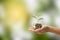 Saving, Investment concept. Hand holding Coin in a glass jar