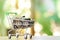 Saving money concept of collecting coins Thai money in a Shopping Cart on nature background. as background business concept and