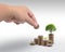 Saving money concept preset by Male hand holding money coin stack growing business