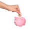 Saving money, female hand is putting coin into piggy bank isolated on white