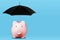 Saving For a Rainy Day Concept With Piggy Bank Shielded From Rain