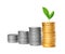 Savings, increasing columns of gold and silver coins