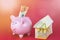 Savings and investment - Piggy bank, money house on raspberry color background