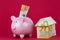 Savings and investment - Piggy bank, money house on raspberry color background