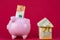 Savings and investment - Piggy bank, money house on raspberry color background