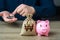 Savings management. Pig piggy bank and South Korean won money bag.