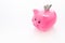 Savings. Moneybox in shape of pig with banknotes falling into it on white background space for text