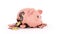 Savings spending comcept pink ceramic piggy bank completely broken up into several large pieces money inside 3d render on white