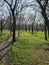 Savitsky Park in Odessa, Ukraine