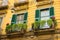 Savona Yellow Building with Iron Balconies and Bright Green Plants, Picturesque Neighborhood, Travel Italy