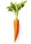 Savor the Freshness: Isolated Carrot on White Background