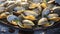 Savoring the Sea. A Close-Up of Freshly Steamed Clams. Generative AI