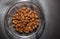 Savory, crunchy, salted peanuts inside a transparent bowl