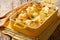 Savory food: baked cauliflower with cheese, eggs and cream close