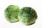 Savoy Cabbage