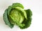 Savoy Cabbage