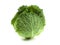 Savoy cabbage isolated on white