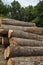 Saw logs,pallet lumber