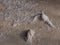 Sawdust on a cement floor