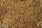 Sawdust or wood dust texture background. Wood sawdust background closeup. Sawdust floor texture. Top view. Saw dust texture, close